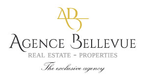 creation de logo pour agence immobiliere